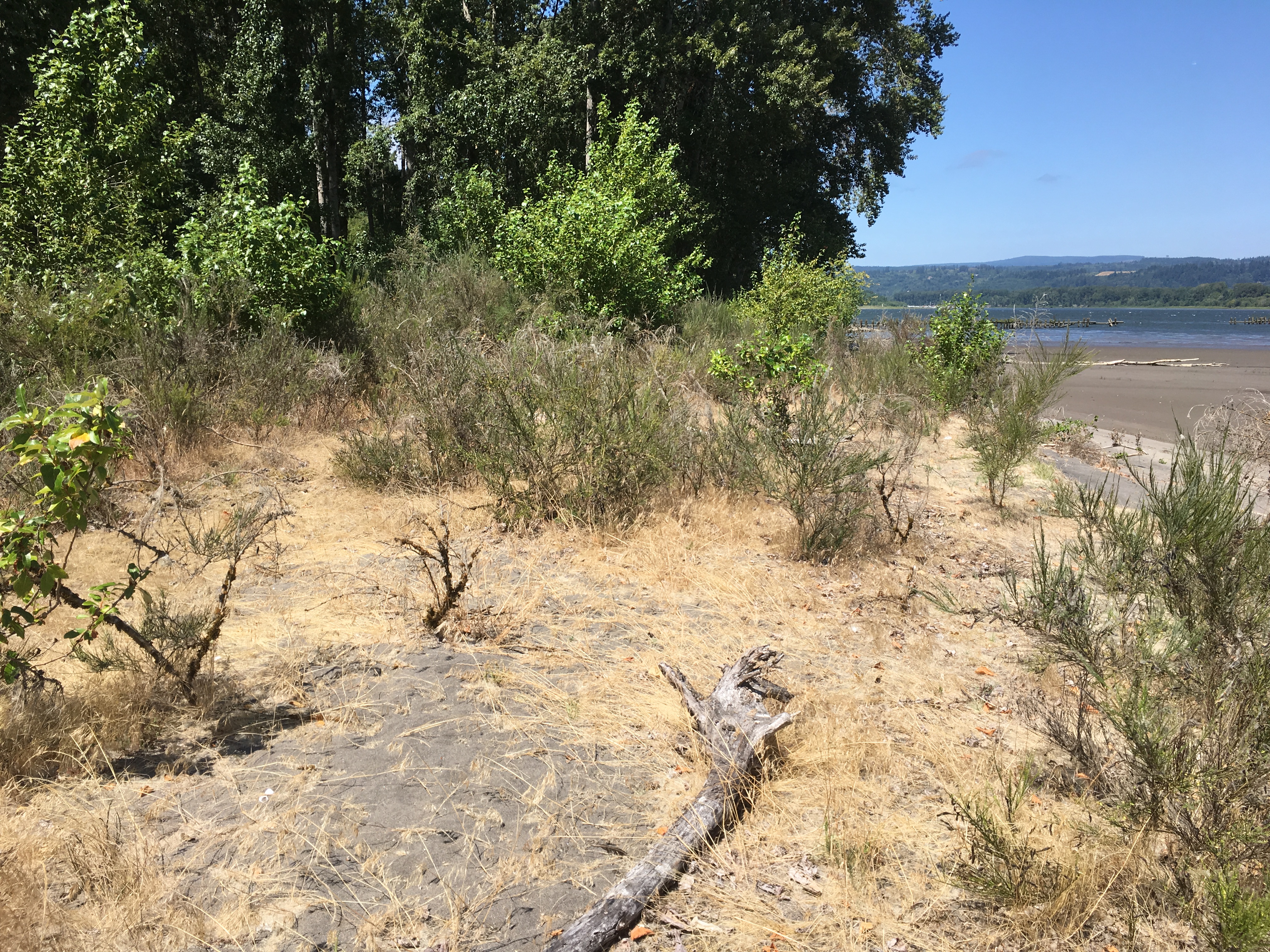 Walker Island East (OR) Estuary Partnership